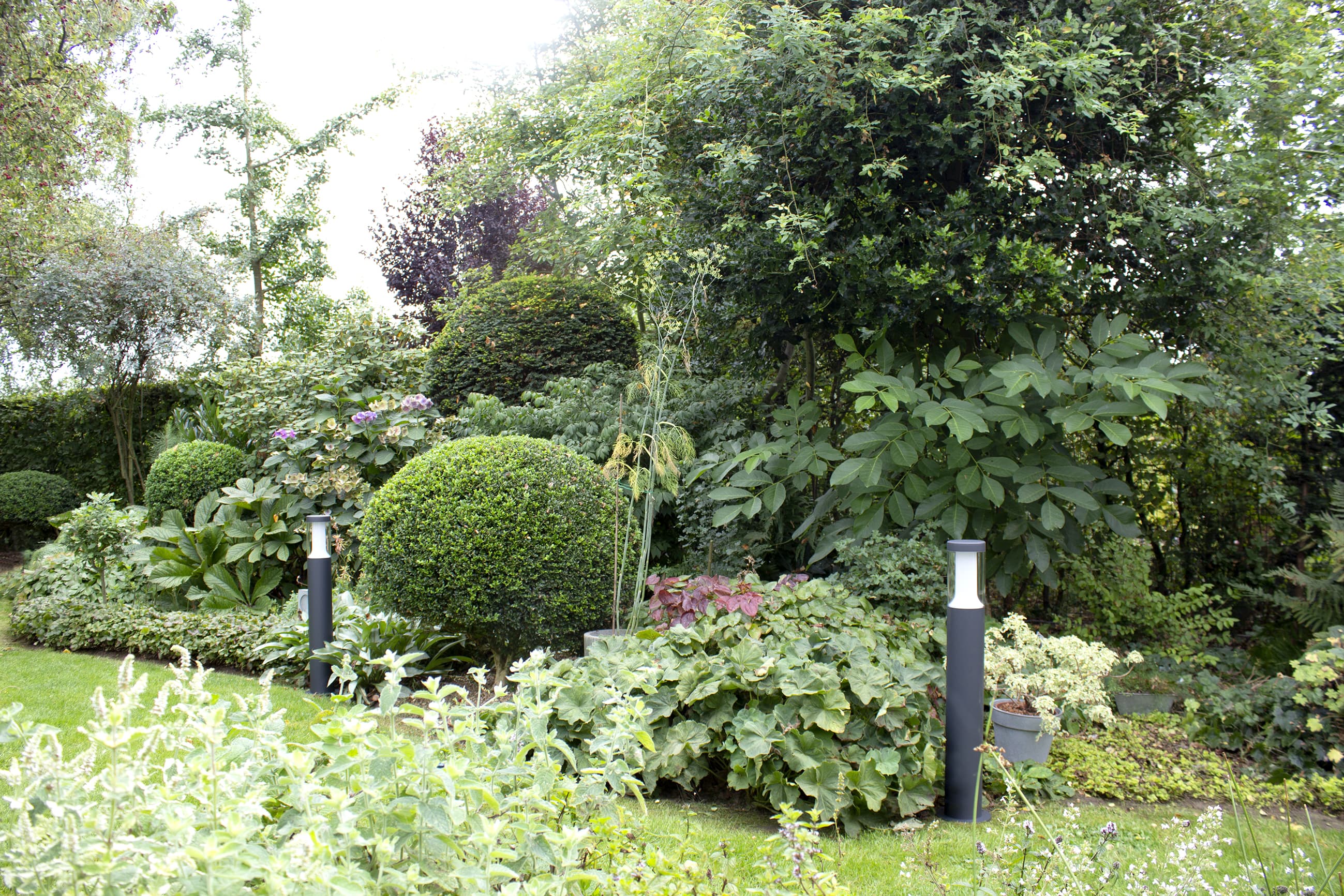 FILO P - DC_P_PHOTO_AMBIANCE_1