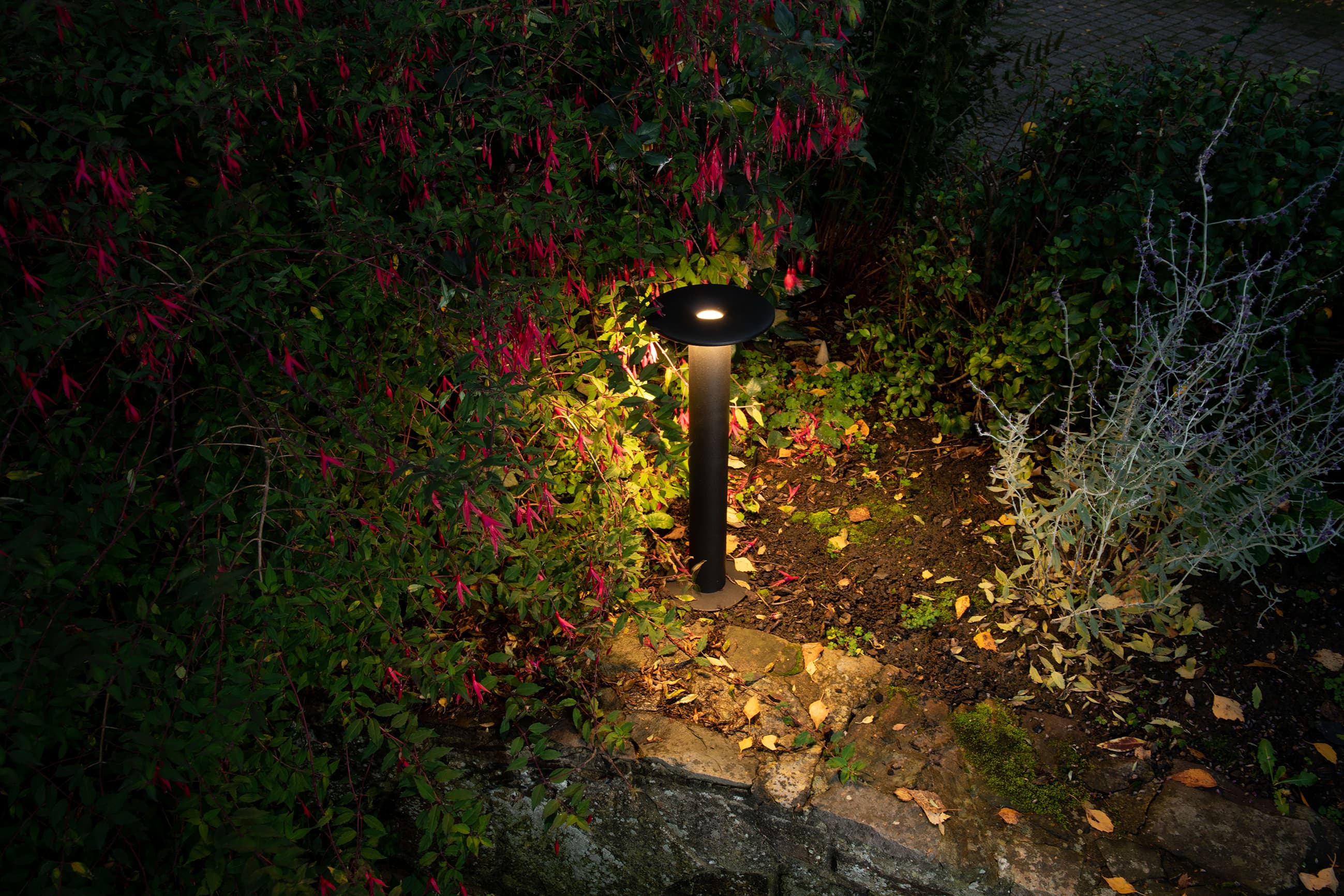 FINN P - DC_P_PHOTO_AMBIANCE_1