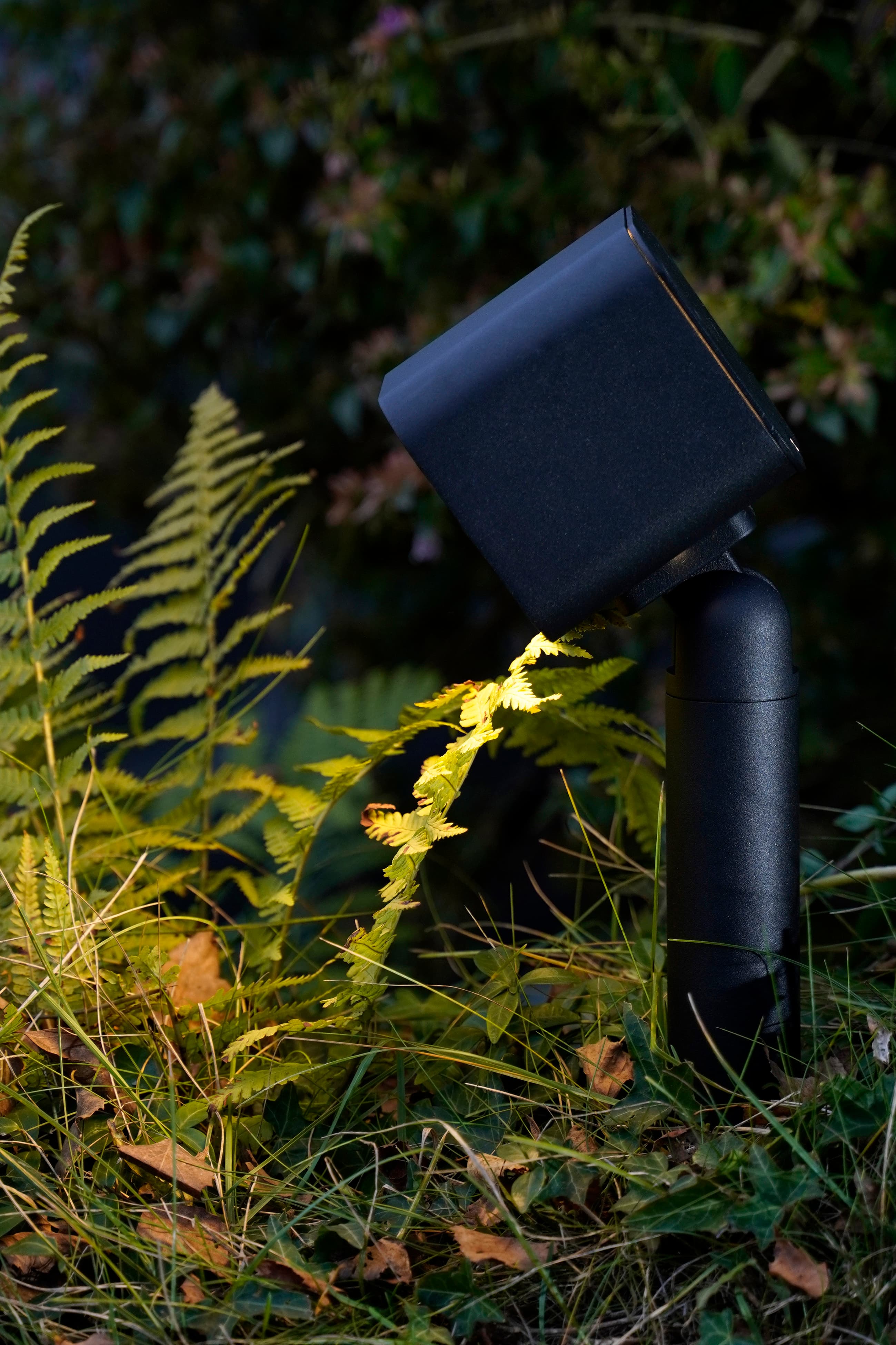 OLA 1 - DC_P_PHOTO_AMBIANCE_2