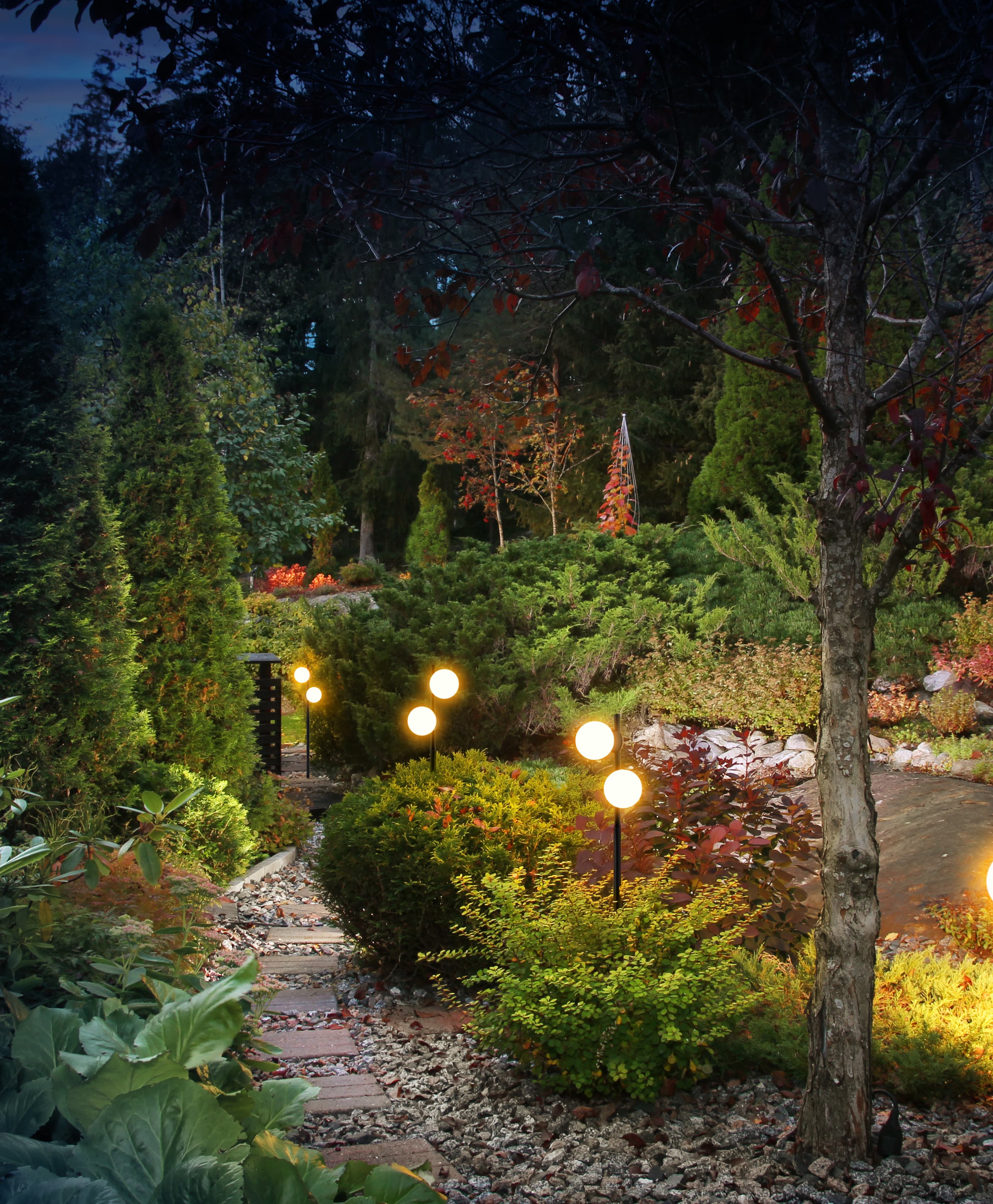 FLORIA 4 - DC_P_PHOTO_AMBIANCE_1