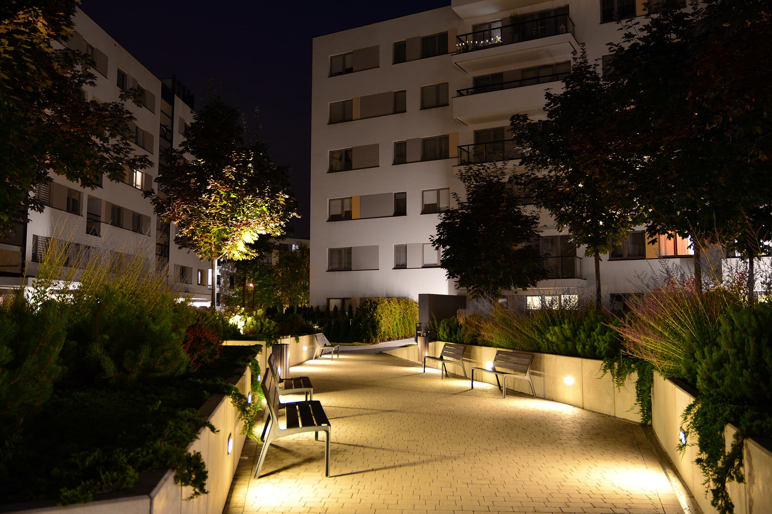 DEVI - DC_P_PHOTO_AMBIANCE_1