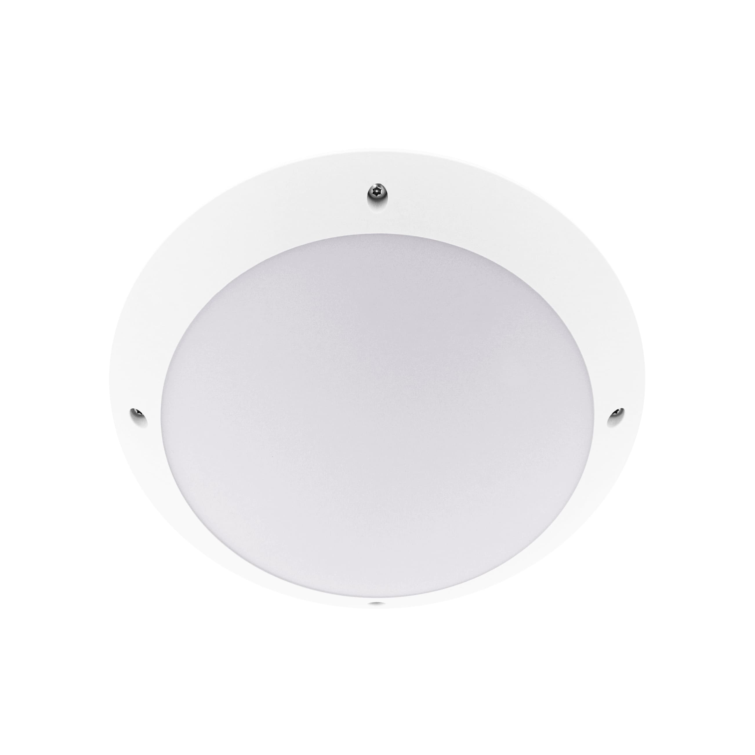MINI TIMY SENSOR EVO
