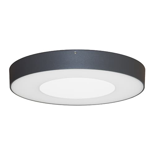 ASPI 1 SENSOR PLUS