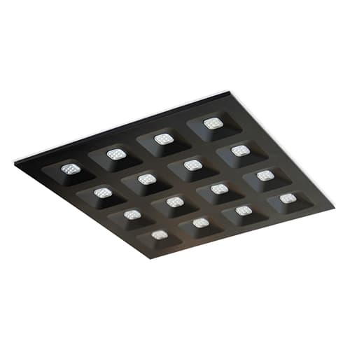 DOMINO