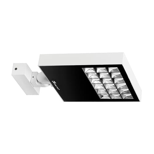RAYPRO 50