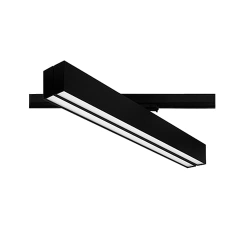 LINEA 2